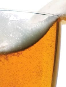 A Beer Journey Begins Utah Beer News