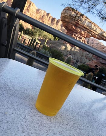 Sipping a Victory Brewing Company's Prima Pils while listening to the cars zip by at Radiator Springs.