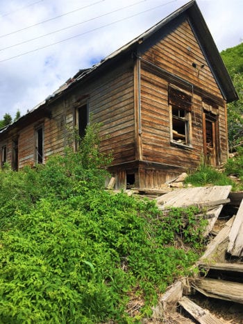 Hops grow near an old house in Summit County. Photo courtesy of Summit Land Conservancy.