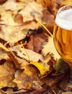 Fall Beers - Utah Beer News - Featured