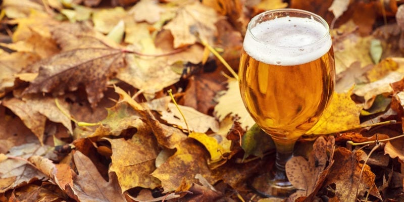 Fall Beers - Utah Beer News - Featured