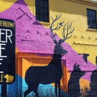 Beer Travels Denver - Great Divide Brewing - Featured - Utah Beer News