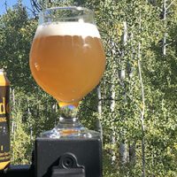 Kveik 1 - Shades Brewing - Featured